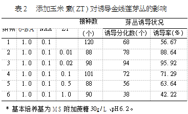 金线莲组织培养离不开超净工作台